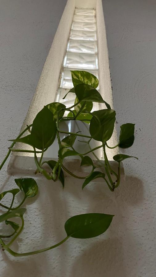Locanda Le Ginestre Cantalupo in Sabina Dış mekan fotoğraf