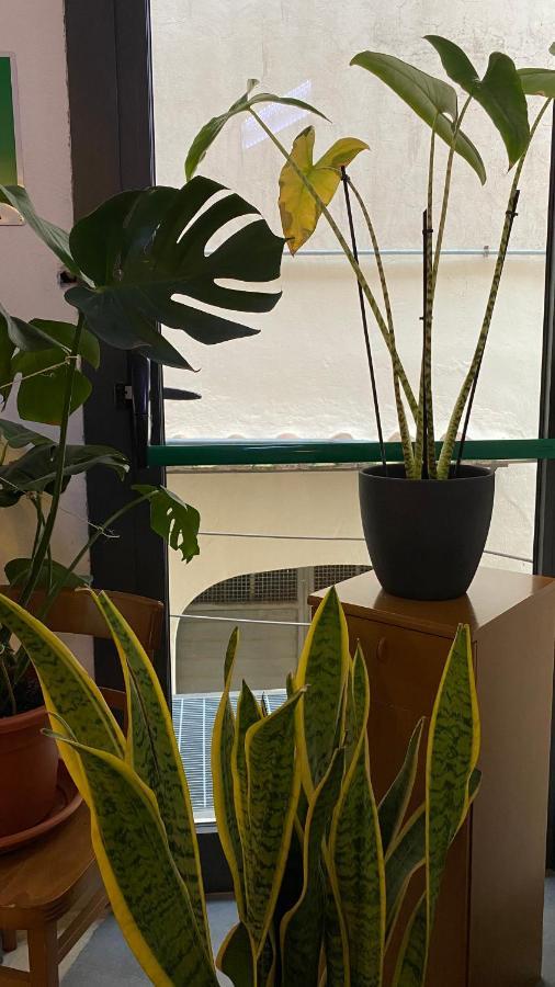 Locanda Le Ginestre Cantalupo in Sabina Dış mekan fotoğraf